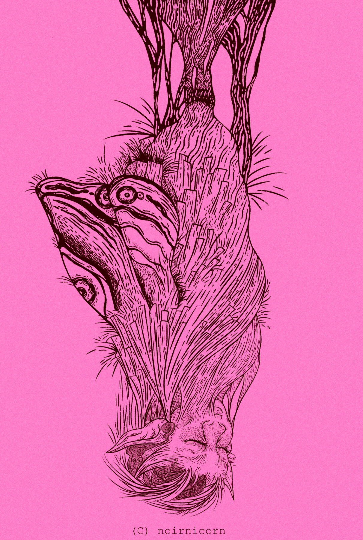 Moth in Cocoon - Winter 2020